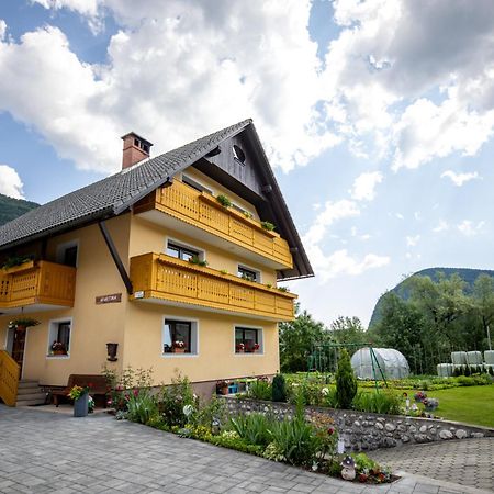Apartmaji Matej Cvetek Bohinj Exteriér fotografie